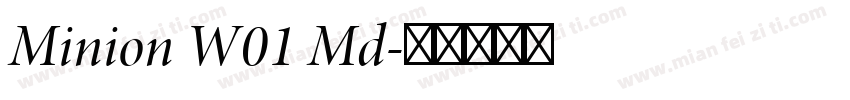 Minion W01 Md字体转换